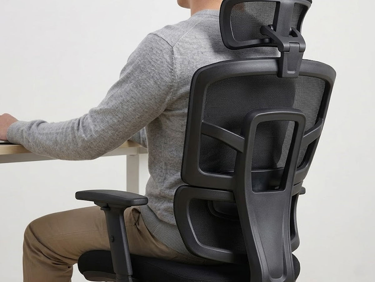 Lumbar support