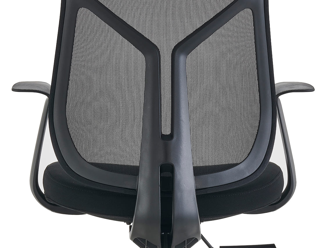Supportive Backrest