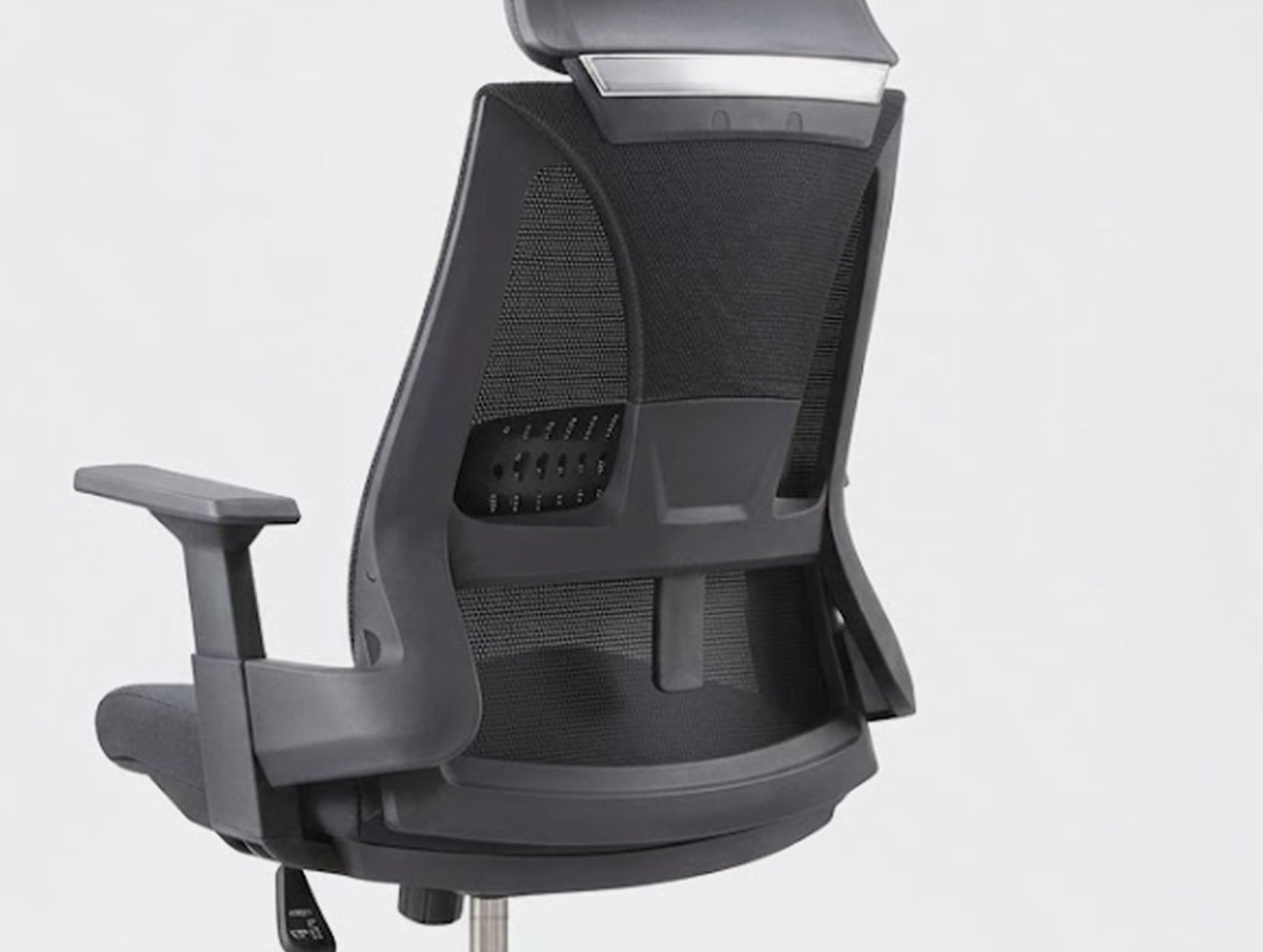 Adjustable Lumbar Support